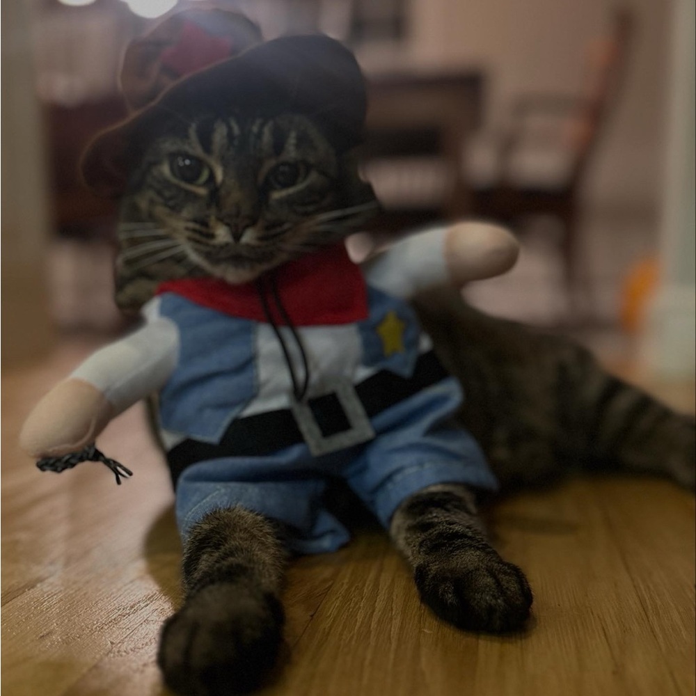 Cowboy Cat Costume - Blue and Brown